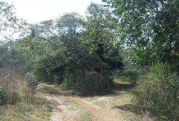 Lote de Terreno en  Sudzal, Yucatán