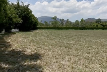 Lote de Terreno en  Ahuehuetes, Atlixco