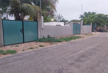 Lote de Terreno en  Hacienda El Cuyo, Tizimín