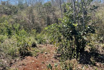 Lote de Terreno en  Opichén, Yucatán