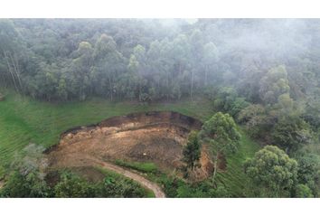 Lote de Terreno en  La Ceja, Antioquia