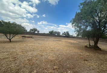 Lote de Terreno en  El Trébol, León De Los Aldama