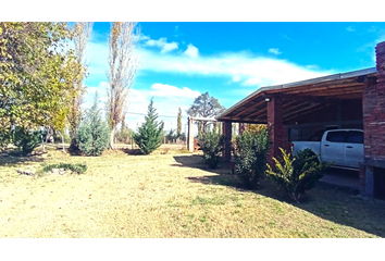 Quinta/Finca en  San Rafael, Mendoza