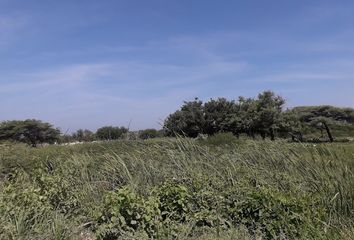 Lote de Terreno en  Petronitas, Galapa