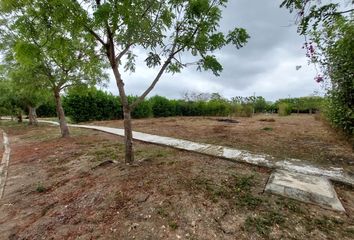 Lote de Terreno en  La Providencia, Cartagena De Indias