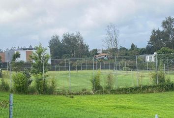 Terreno Comercial en  Pifo, Quito