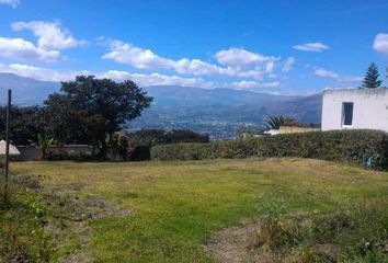 Terreno Comercial en  Nayón, Quito