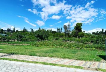 Terreno Comercial en  Puembo, Quito