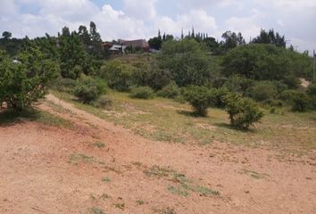 Lote de Terreno en  Calle Emiliano Zapata 100-203, La Tomatina, Jesús María, Aguascalientes, 20994, Mex