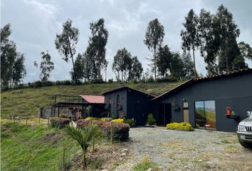 Casa en  San Pedro De Los Milagros, Antioquia