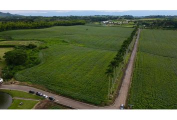 Lote de Terreno en  Cerritos, Pereira