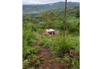 Lote de Terreno en  Yarumal, Antioquia