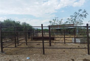 Lote de Terreno en  Rancho O Rancheria Catama, Calvillo