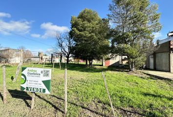 Terrenos en  Empalme Lobos, Partido De Lobos