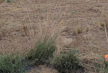 Lote de Terreno en  Zinacantepec, Zinacantepec