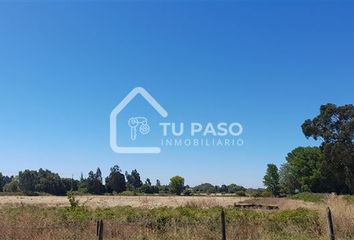 Bodega en  Chillán Viejo, Ñuble (región)