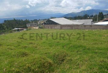 Terreno Comercial en  Píntag, Quito