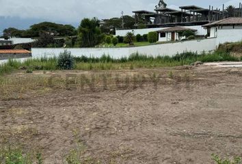 Terreno Comercial en  Tumbaco, Quito