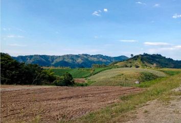 Lote de Terreno en  Centro, Pereira