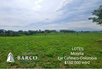 Lote de Terreno en  Mundo Nuevo, Pereira