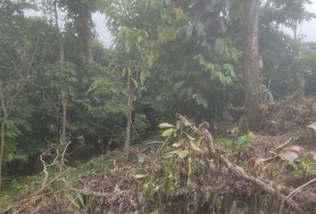 Terreno Comercial en  Ricaurte, Urdaneta