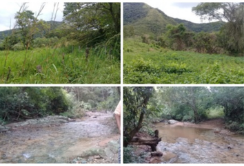 Rancho en  Los Fraylescanos, Villaflores