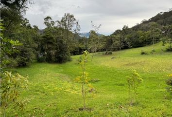 Lote de Terreno en  Guasca, Cundinamarca