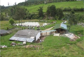 Villa-Quinta en  Centro, Manizales