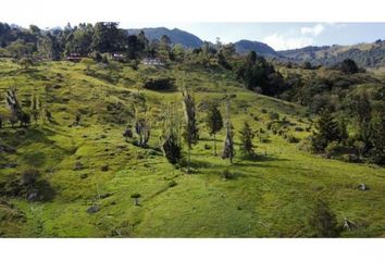 Lote de Terreno en  Bello, Antioquia