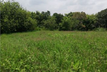 Lote de Terreno en  Centro, Pereira