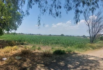 Lote de Terreno en  El Pueblito, Corregidora, Corregidora, Querétaro