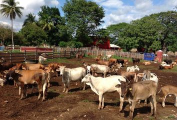 Lote de Terreno en  Los Ramones, Nuevo León