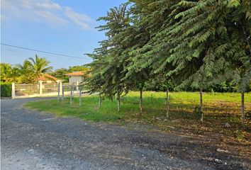 Lotes y Terrenos en  Nueva Gorgona, Chame