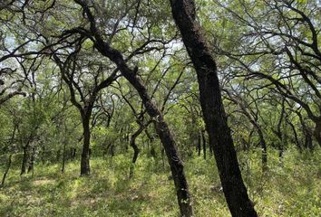 Lote de Terreno en  El Cercado Centro, Santiago, Nuevo León