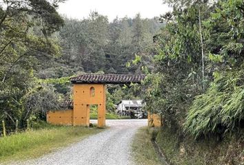 Lote de Terreno en  Convención, Norte De Santander