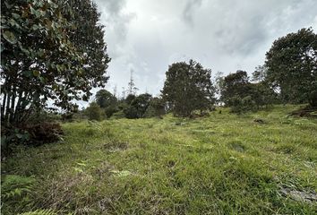 Lote de Terreno en  El Retiro, Antioquia