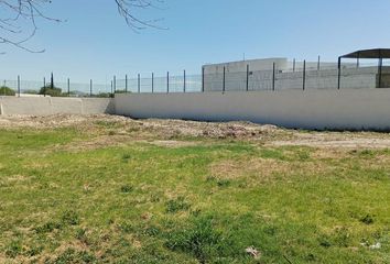 Lote de Terreno en  Real Del Nogalar, Torreón