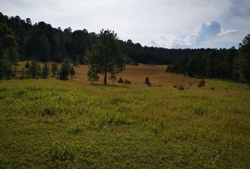 Lote de Terreno en  Pueblo Nuevo, Durango