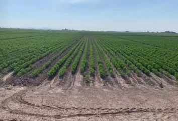 Lote de Terreno en  San Pedro, Coahuila