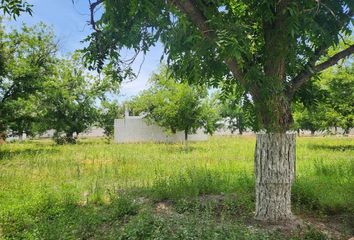 Lote de Terreno en  Fraccionamiento San Armando, Torreón