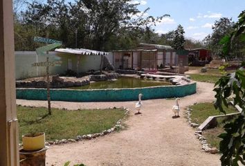 Local comercial en  Pueblo Baca, Baca, Yucatán