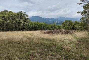 Lote de Terreno en  Calle Hidalgo 38-42, San Francisco Tepojaco, Cuautitlán Izcalli, México, 54745, Mex