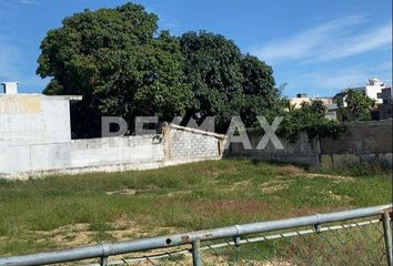 Lote de Terreno en  Árbol Grande, Ciudad Madero