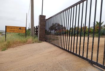 Parcela en  Marchihue, Cardenal Caro