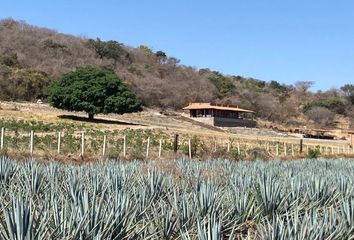 Rancho en  45324, Tala, Jalisco, Mex