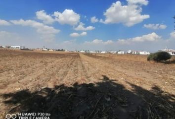 Lote de Terreno en  Calle Ignacio Zaragoza 8, San Andrés Ocotlán, Calimaya, México, 52220, Mex