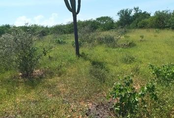 Lote de Terreno en  Calle 16 De Septiembre, La Ribera, Los Cabos, Baja California Sur, 23570, Mex