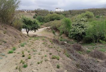 Lote de Terreno en  Calle Paseo Del Palo Blanco, Campestre El Barro, Monterrey, Nuevo León, 64997, Mex