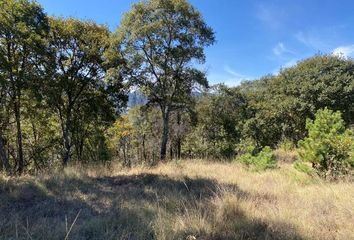 Lote de Terreno en  Calle El Calvario, Santa María Mazatla, Jilotzingo, México, 54570, Mex