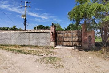 Rancho en  San Isidro, Ciudad Lerdo, Lerdo